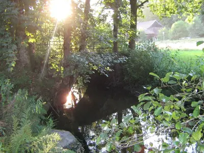 Ferienhaus zur Weinlaube