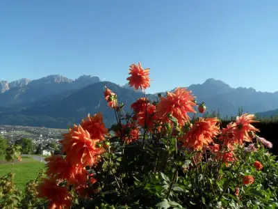 Sommer-pur