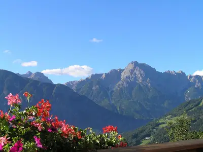 Ausblick von den Ferienwohnungen