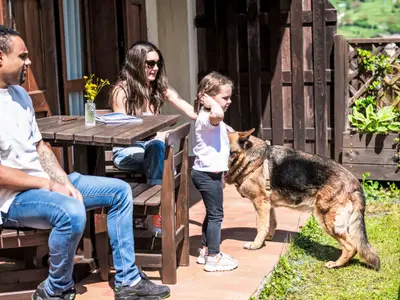 Ferienwohnung für 3 Personen (42 m²) in Tiarno Di Sotto 1/10