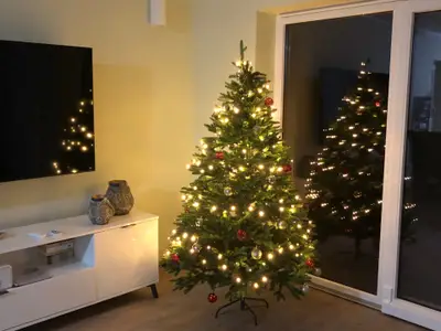 Ferienwohnung für 3 Personen (75 m²) in Wartburgkreis 9/10