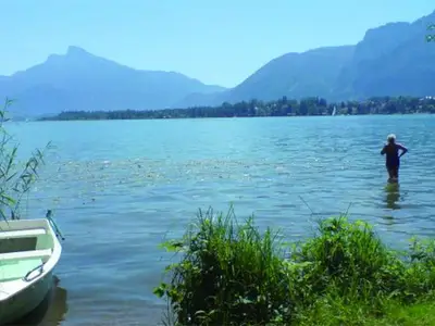 Ferienwohnung für 3 Personen (50 m²) in Mondsee 2/10