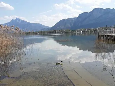 Ferienwohnung für 3 Personen (50 m²) in Mondsee 4/10