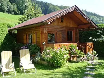 Ferienwohnung für 3 Personen (45 m²) in Mondsee 8/10