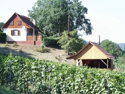 Ferienwohnung für 4 Personen (40 m²) in Tieschen 10/10