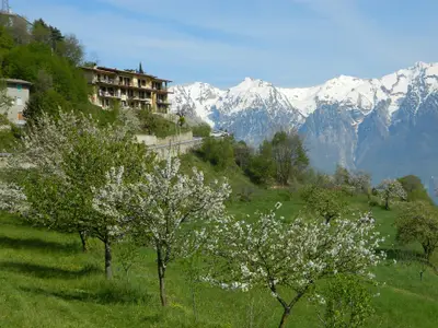 Bild 2