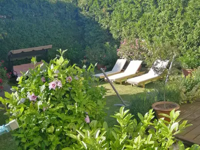 Ferienwohnung für 2 Personen (40 m²) in Tihany 6/10