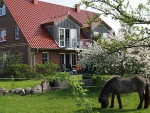 Ferienwohnung für 5 Personen (80 m&sup2;) in Timmendorf (Insel Poel)