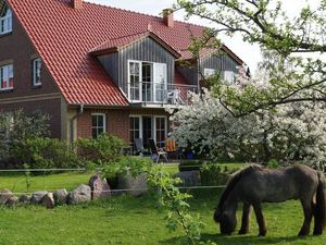Ferienwohnung für 5 Personen (80 m²) in Timmendorf (Insel Poel)