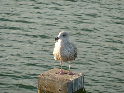 Neugierig geworden ? Wir freuen uns auf Sie !