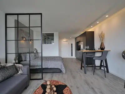 Strandkoje 7: Stilvolles Studio mit Raumtrenner, Boxspringbett, Küche und gemütlichem Wohnbereich.
