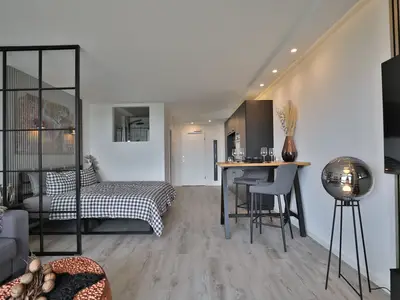 Strandkoje 7: Stilvolles Studio mit Raumtrenner, Boxspringbett, Küche und gemütlichem Wohnbereich.
