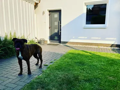 https://haus-albatros-ostsee.de/