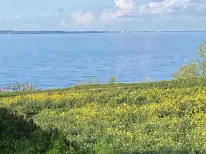 Ferienwohnung für 4 Personen (50 m²) in Timmendorfer Strand