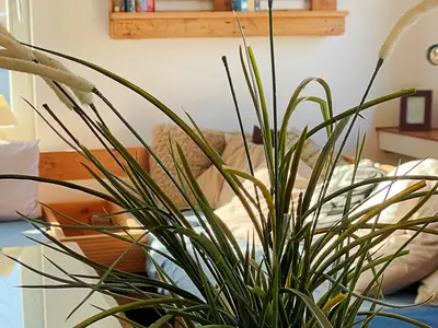 Ferienwohnung für 10 Personen (95 m²) in Niendorf/Ostsee 9/10