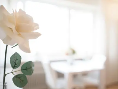 Ferienwohnung für 2 Personen (35 m²) in Timmendorfer Strand 8/10