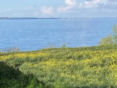 Ferienwohnung für 4 Personen (50 m²) in Timmendorfer Strand 3/10