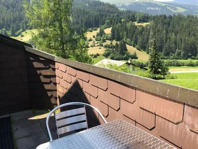 Ferienwohnung für 4 Personen (54 m²) in Tinizong 3/10