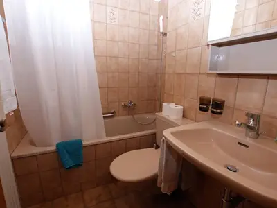 Ferienwohnung für 4 Personen (54 m²) in Tinizong 9/10