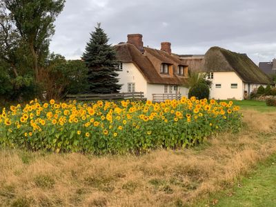 Ferienwohnung für 4 Personen (45 m²) in Tinnum (Sylt) 8/10