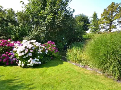 Ferienwohnung für 2 Personen (15 m²) in Sylt-Ost 10/10