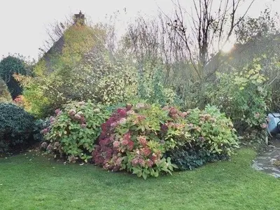 Ferienwohnung für 2 Personen (25 m²) in Sylt-Ost 9/10