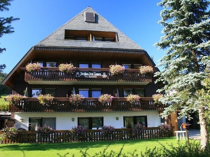 22479625-Ferienwohnung-5-Titisee-Neustadt-800x600-2