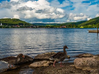 Ferienwohnung für 5 Personen (72 m²) in Titisee-Neustadt 2/10