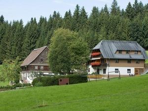 Ferienwohnung für 2 Personen (38 m²) in Titisee-Neustadt