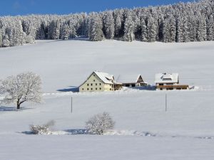 23920898-Ferienwohnung-8-Titisee-Neustadt-300x225-5