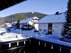 19113715-Ferienwohnung-3-Titisee-Neustadt-300x225-3