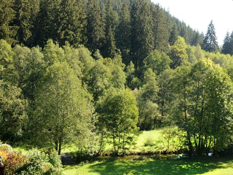 19044260-Ferienwohnung-4-Titisee-Neustadt-800x600-1