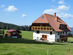 19052135-Ferienwohnung-4-Titisee-Neustadt-300x225-0