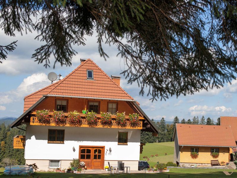 19052135-Ferienwohnung-4-Titisee-Neustadt-800x600-1