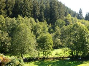 19044260-Ferienwohnung-4-Titisee-Neustadt-300x225-1