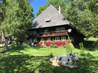 Ferienhaus " Schiere", denkmalgeschützes Schwarzwaldhaus 50m neben dem Griesbachhof