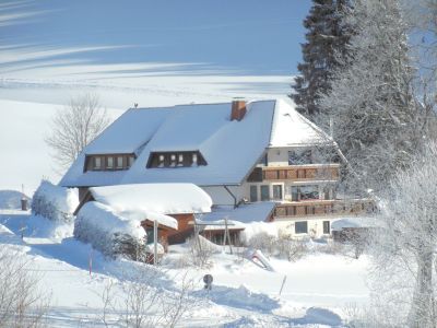 Ferienwohnung für 2 Personen (35 m²) in Titisee-Neustadt 1/10