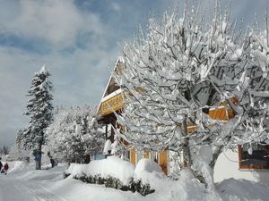 19180061-Ferienwohnung-4-Titisee-Neustadt-300x225-3