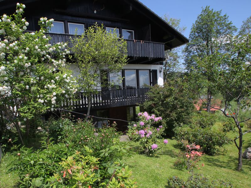 23527906-Ferienwohnung-4-Titisee-Neustadt-800x600-0