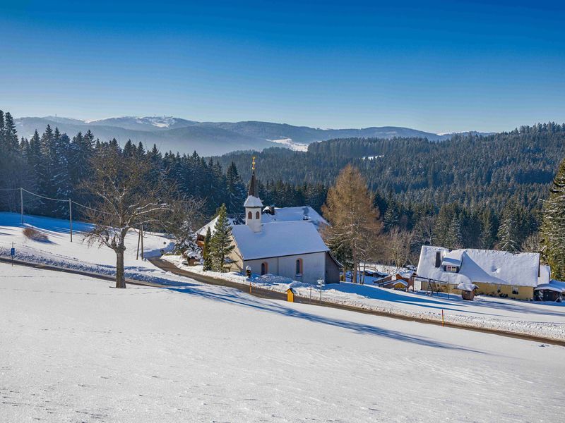 19052144-Ferienwohnung-4-Titisee-Neustadt-800x600-2