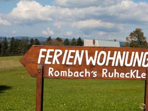 19052135-Ferienwohnung-4-Titisee-Neustadt-300x225-4