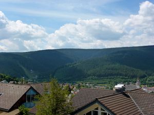 23844260-Ferienwohnung-3-Titisee-Neustadt-300x225-3