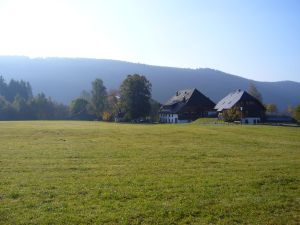 19041897-Ferienwohnung-3-Titisee-Neustadt-300x225-4