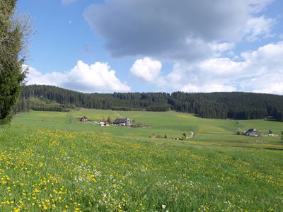 Ferienwohnung für 3 Personen (28 m²) in Titisee-Neustadt 10/10