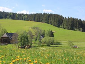 19052105-Ferienwohnung-6-Titisee-Neustadt-300x225-1