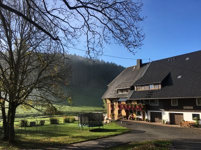 Griesbachhof im Sommer mit Spielwiese