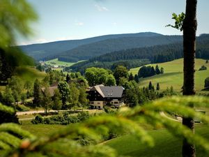 22601991-Ferienwohnung-5-Titisee-Neustadt-300x225-4