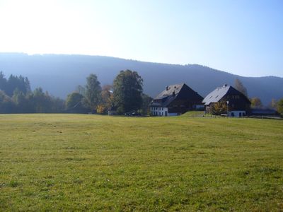 Ferienwohnung für 3 Personen (45 m²) in Titisee-Neustadt 5/10