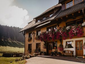 19052105-Ferienwohnung-6-Titisee-Neustadt-300x225-5