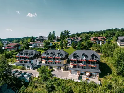 Ferienwohnung für 4 Personen (43 m²) in Titisee-Neustadt 1/10